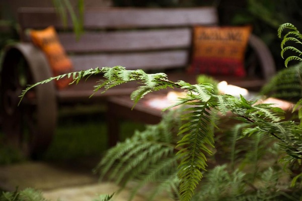 Zawadi House Lodge image 21