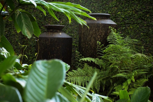 Zawadi House Lodge image 29